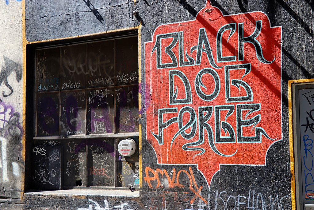 Black-Dog-Forge-sign-Seattle-May-27-2020