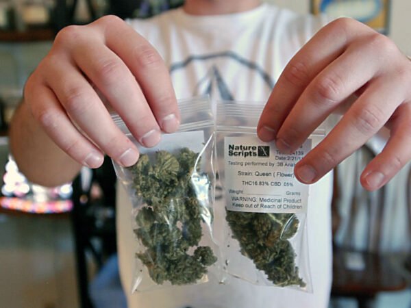 Bags of marijuana_standard found in cruise