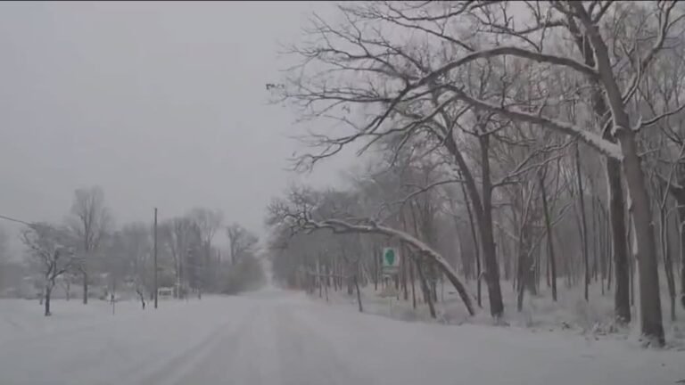 Chicago winter storm
