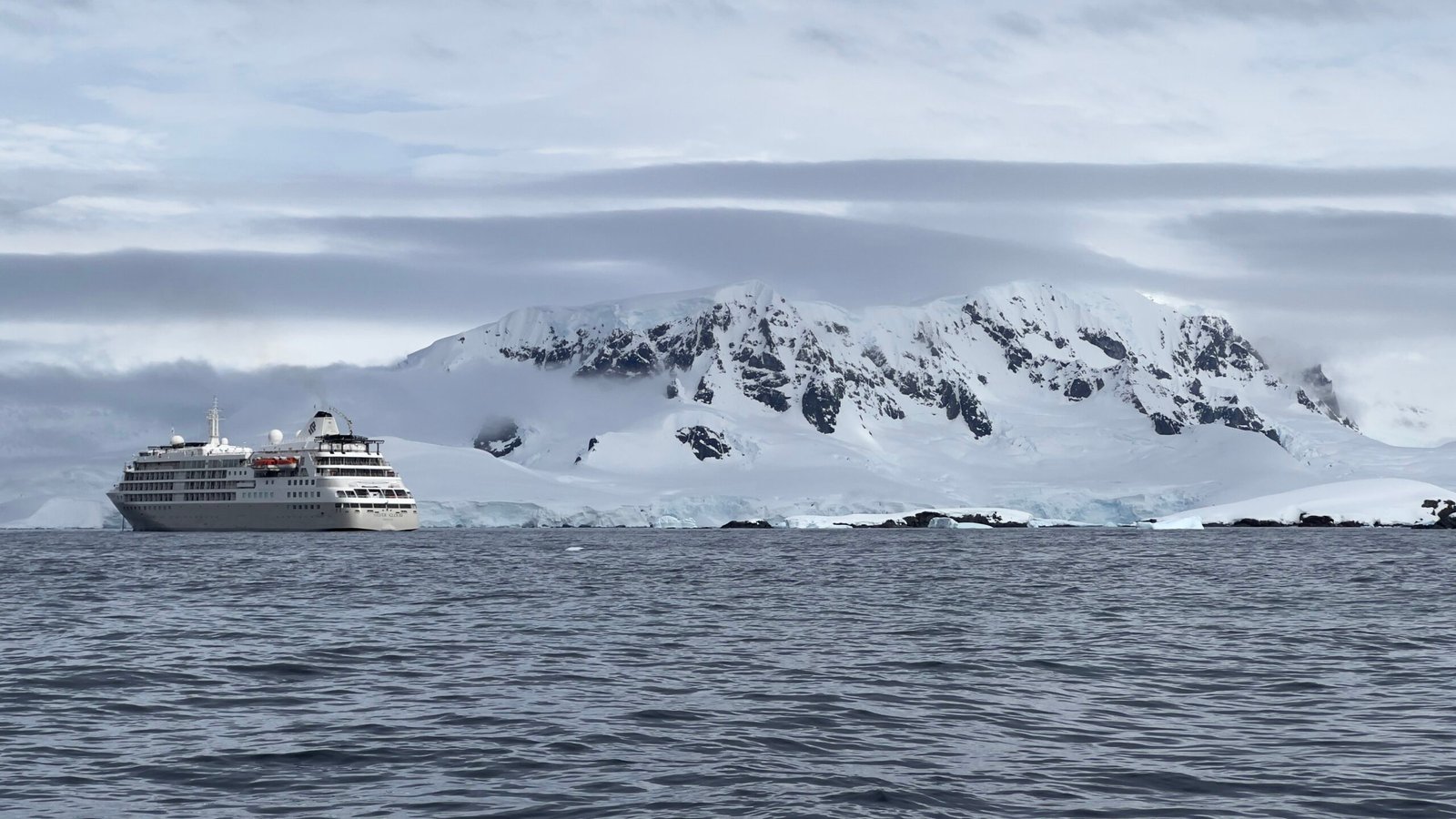 Cruising company to antarctica