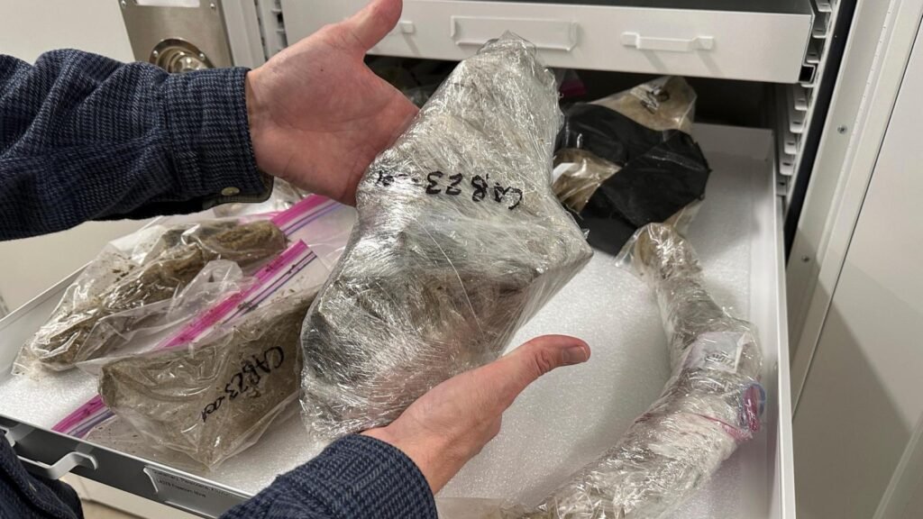 Dakota Coal Miners found a Mammoth Tusk