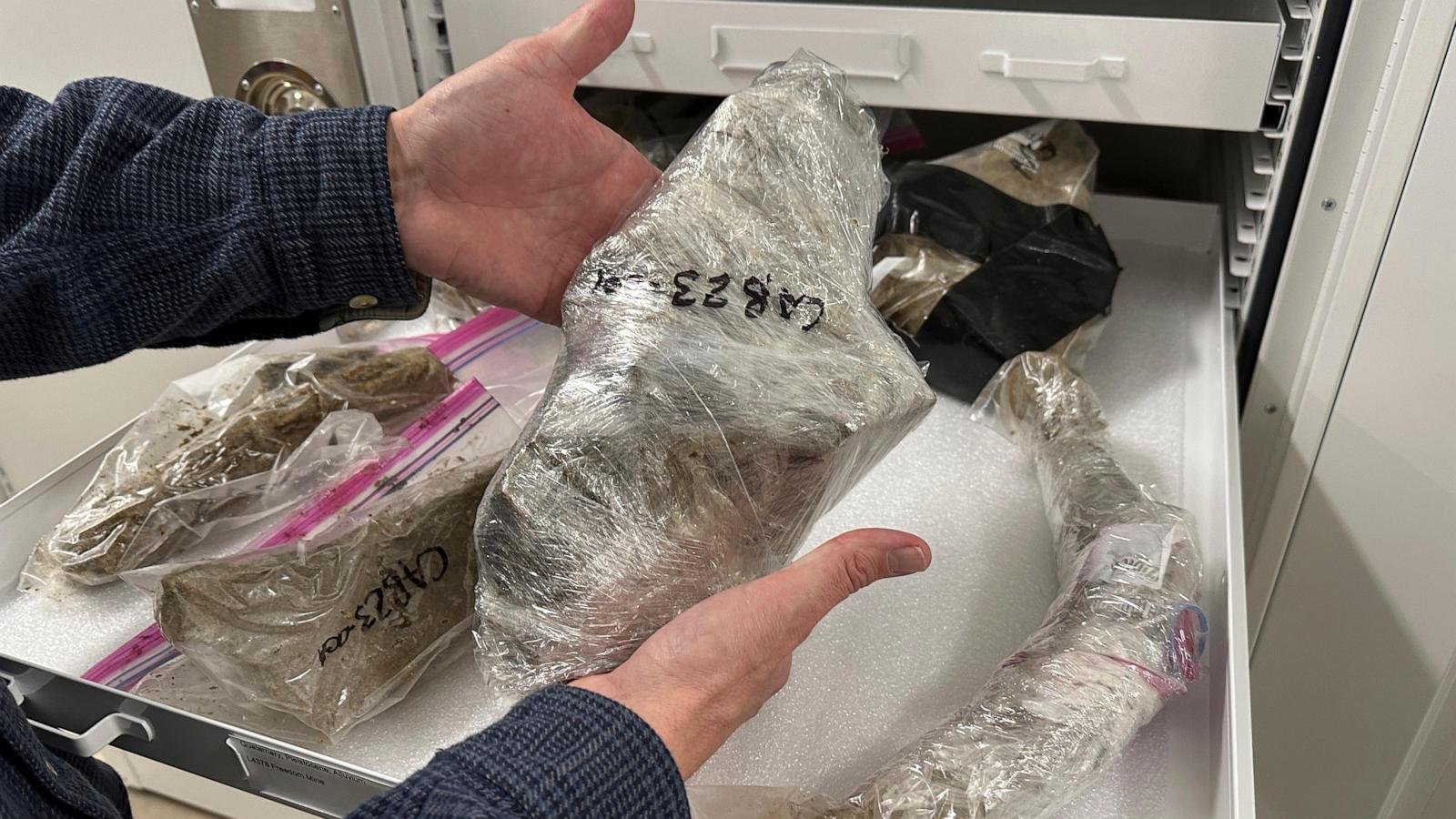 Dakota Coal Miners found a Mammoth Tusk