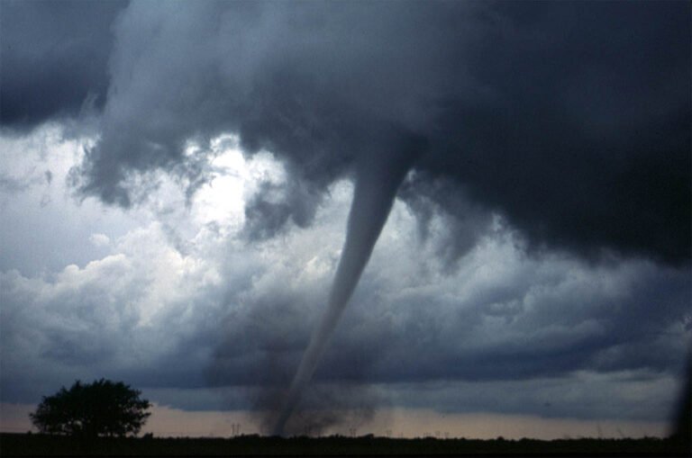 Extreme wild Weather