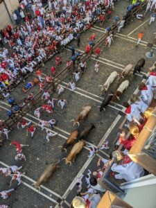 Running of the Bulls festival in Pamplona, Spain