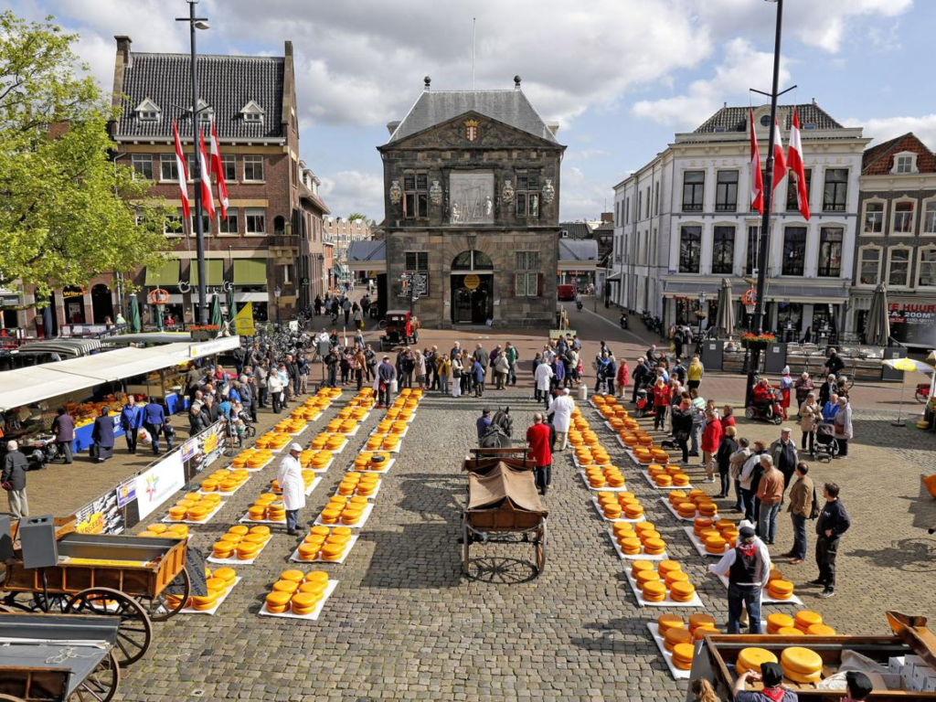 Dutch cheese market