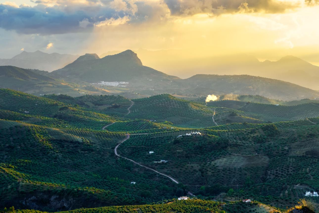 Beautiful sunset landscape in Andalusia Spain